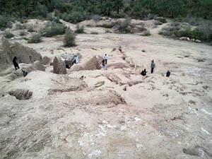 پایمال کردن گنج پنج هزار ساله در جیرفت پایمال کردن گنج پنج هزار ساله در جیرفت